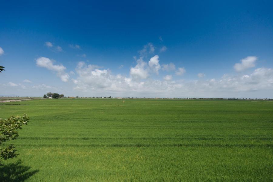 Salicornia Apartament L'Eucaliptus 외부 사진